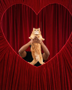 The Heartframe Backdrop